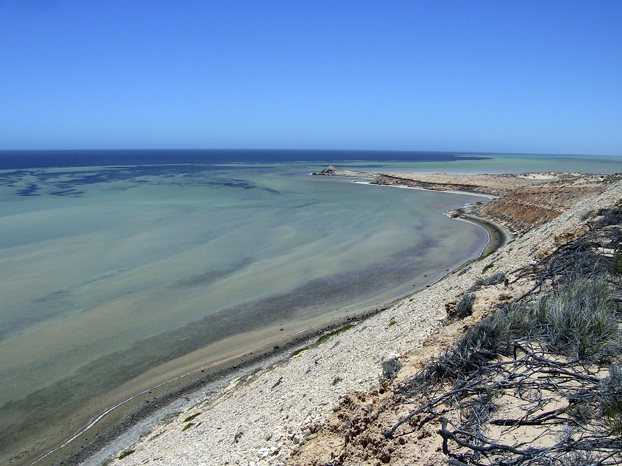 Shark Bay, Australia