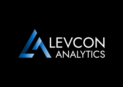 Levcon Analytics: Logo & Website